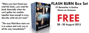 flash_burn_hot_sex_stories